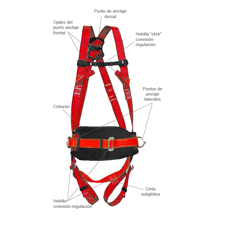 Arnés A05S | Seguridad en Altura Accesus